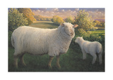 Ewe And Lamb Premium Giclee Print by James Lynch