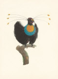 Le Sufilet Premium Giclee Print by Jacques Barraband