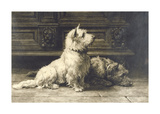 Scotties Posters by Herbert Dicksee