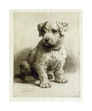Puppy Prints by Herbert Dicksee