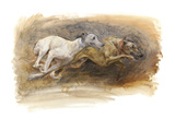 Whippets Running Poster par Susan Crawford
