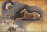 Whippets Art by Susan Crawford