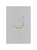 Jewellery Designs XV Posters by Anonymous 