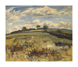 Withypool Landscape, Exmoor Láminas por Sir Alfred Munnings Withypool Landscape, Exmoor Láminas por Sir Alfred Munnings