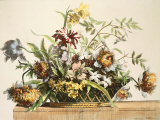 Basket Of Flowers II Póster por Jerome Baptiste