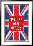 Punks Not Dead Póster