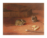 Hungry Mice Premium Giclee Print by Archibald Thorburn