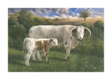 Longhorn Cow And Calf Premium Giclee Print by James Lynch
