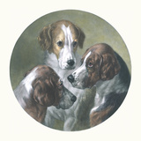 The Fathers Of The Pack Posters par William Barraud