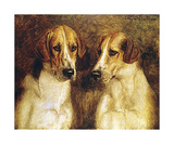 Foxhounds Premium Giclee Print by J Hanson Jr Walker