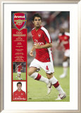Arsenal - Fabregas Poster