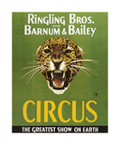 Barnum And Bailey Circus Poster par The Vintage Collection 