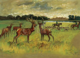 Badminton Premium Giclee Print by Lionel Edwards