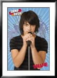 Camp Rock Affiches