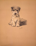 Vie de chien III Poster par Mac 