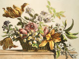 Basket Of Flowers I Premium Giclee-trykk av Jerome Baptiste