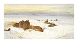 Partridges in a Winter Landscape Premium Giclee Print by Archibald Thorburn