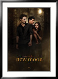 Twilight - Luna nueva Láminas