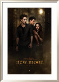Twilight - New Moon Posters