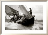 America's Cup Jubilee - Shamrock IV Prints by Kos 