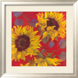 Tournesol II Affiches par Shari White
