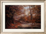 Ruisseau en forêt Posters par Elizabeth Halstead