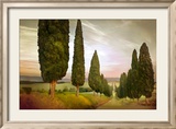 Cypress Road, Siena Prints by Jimmy Williams