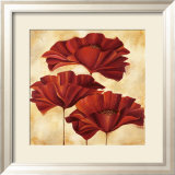 Three Poppies II Prints by Nicola Rabbett
