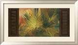 Palmetto Láminas por Robert Holman