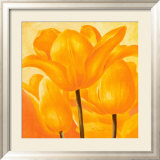 Golden Tulip Posters av Susanne Bach