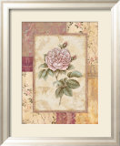 Provence Rose II Lámina por Pamela Gladding
