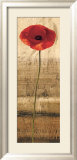 Poppy Panel II Arte por Andrea Kahn