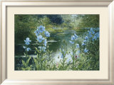 Blauer Klatschmohn Kunst von Peter Ellenshaw