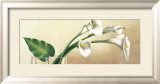 Vaso con Calle Bianche Poster von Eva Barberini