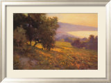 Meadow over La Jolla Shores Posters av Brian Blood Meadow over La Jolla Shores Posters av Brian Blood