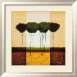 Earth Zone I Prints by Lazlo Emmerich