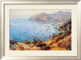 Avalon Affiche par John Comer