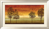 Sunset Vista II Affiches par Chris Donovan