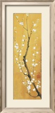 Cherry Blossom Pósters por Suzanna Mah Fong