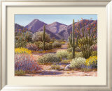 Beauty of Granite Pass Láminas por Linda Lee