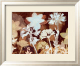 Translucent Shadows I Poster av Lois Bender