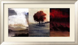 Jour d'orage Affiches par Scott Steele