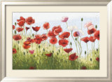 Mountain Poppies III Póster por Shirley Novak