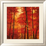 Vermilion Wood Láminas por Robert Striffolino Vermilion Wood Láminas por Robert Striffolino