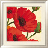 Hawaiian Poppies Plakat av Susanne Bach