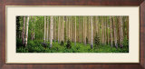 Site 43 Poster par Susan Drinker