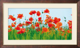 Champs de coquelicots Art par Jan Lens