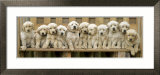 Keith Kimberlin - Puppy Squeeze - Reprodüksiyon Keith Kimberlin - Puppy Squeeze - Reprodüksiyon