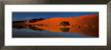Namib Desert Posters av Philippe Bourseiller Namib Desert Posters av Philippe Bourseiller