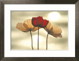 Icelandic Poppies Kunst von Yoshizo Kawasaki